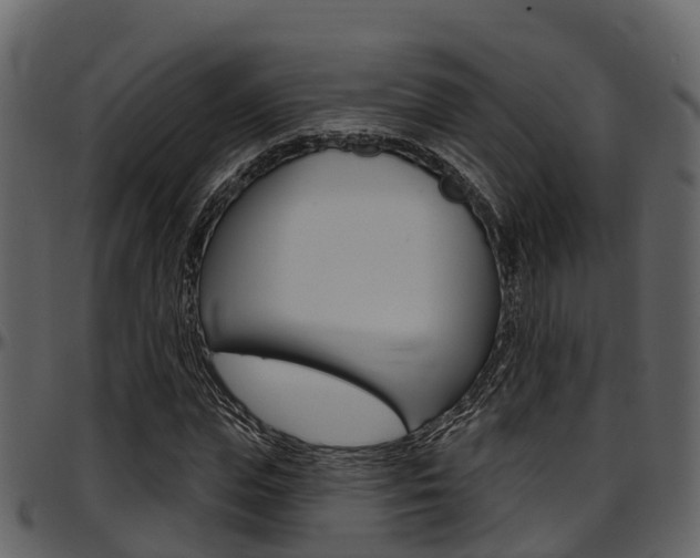 X0000097650823200802290844