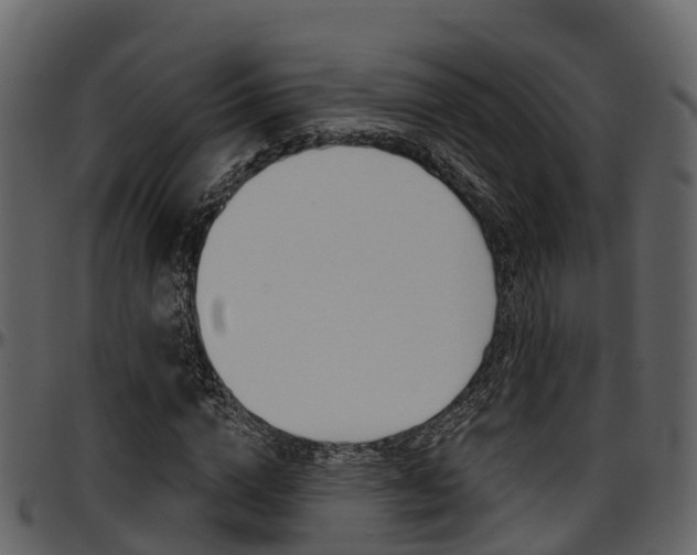 X0000097650824200802290844