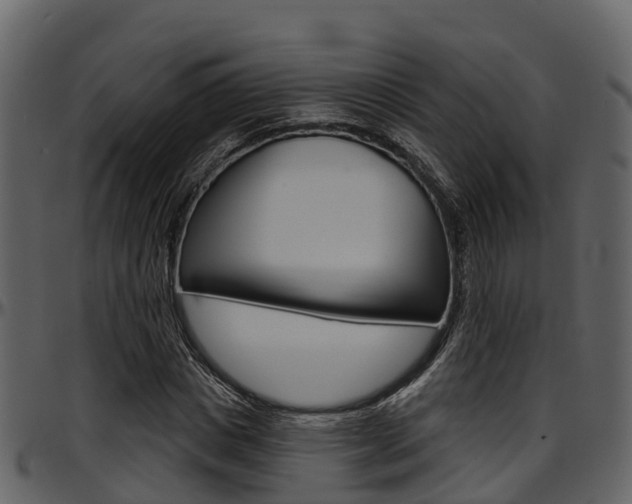 X0000097650825200802290844