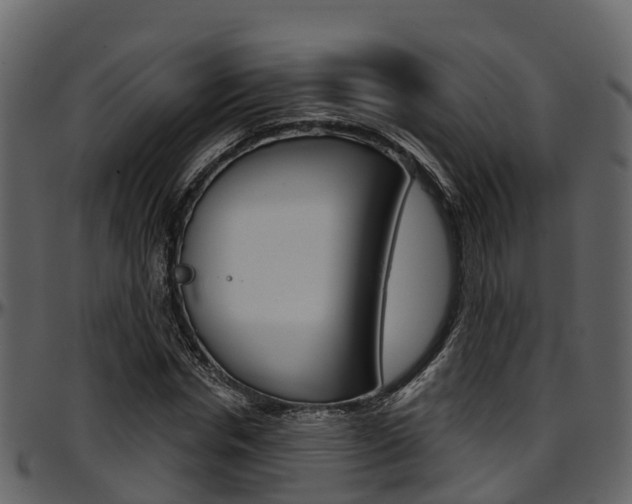 X0000097650826200802290844