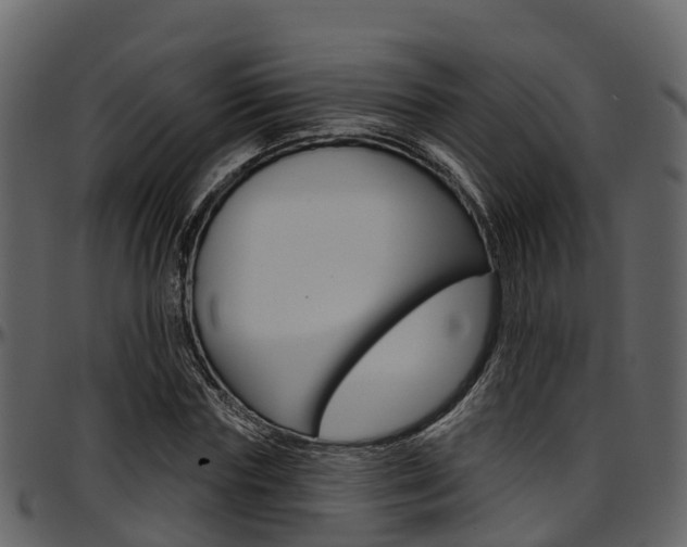 X0000097650827200802290844