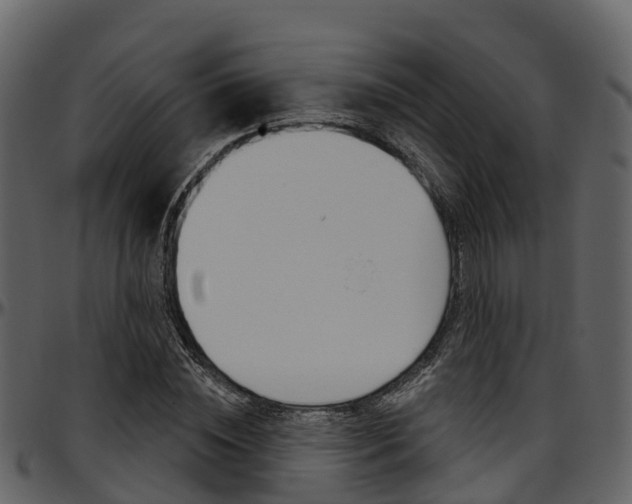X0000097650828200802290844