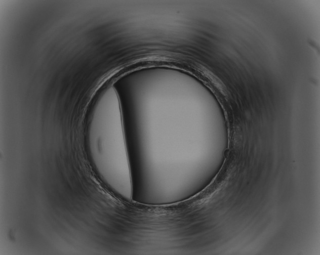 X0000097650829200802290844