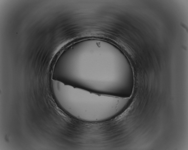 X0000097650830200802290844