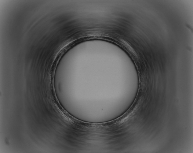 X0000097650831200802290844