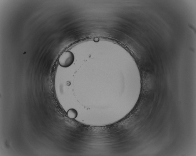 X0000097650832200802290844