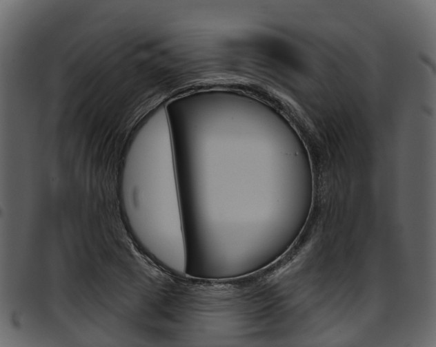 X0000097650833200802290844