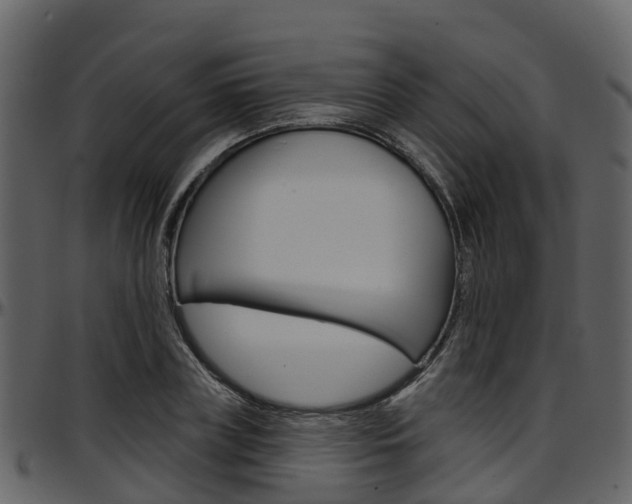 X0000097650835200802290844