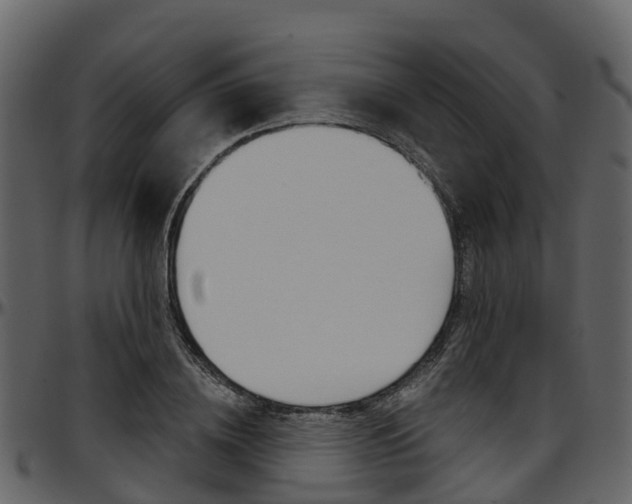 X0000097650836200802290844