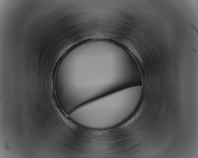 X0000097650837200802290844