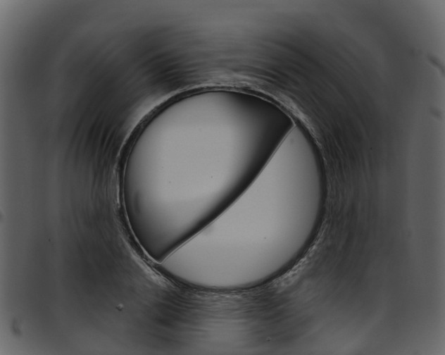 X0000097650838200802290844