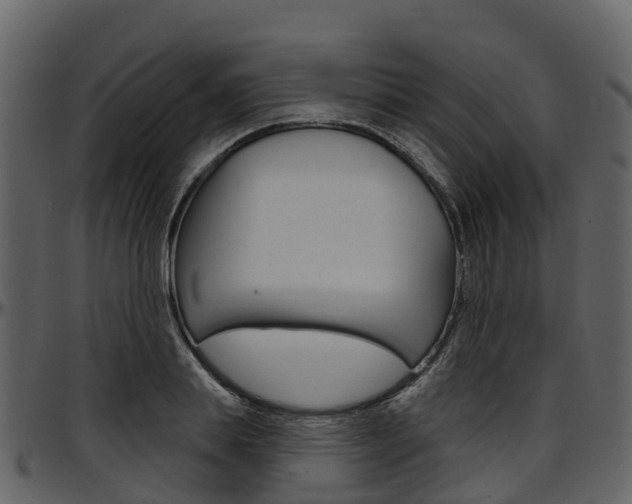 X0000097650839200802290844