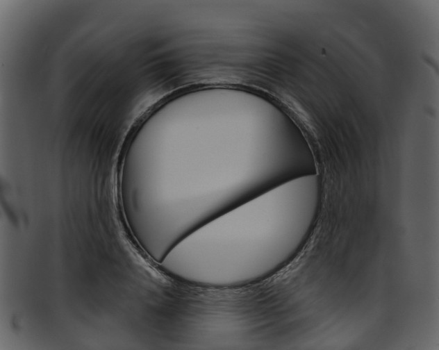 X0000097650840200802290844