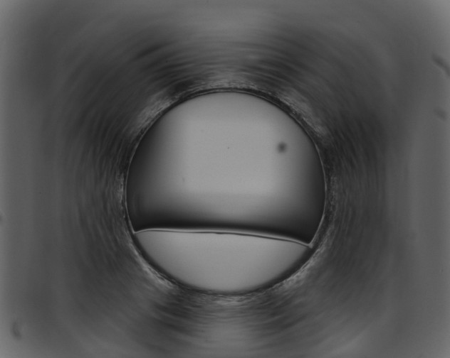 X0000097650841200802290844