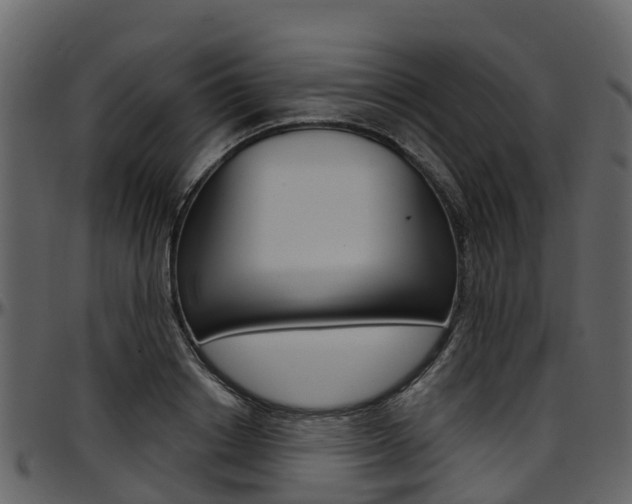 X0000097650842200802290844