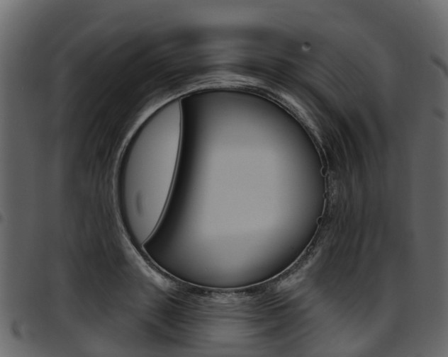 X0000097650843200802290844