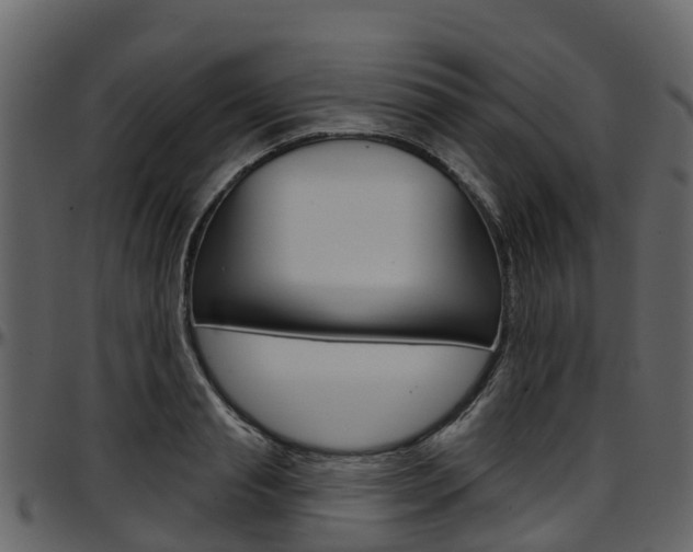 X0000097650845200802290844