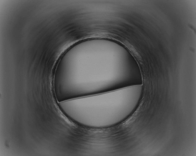 X0000097650846200802290844