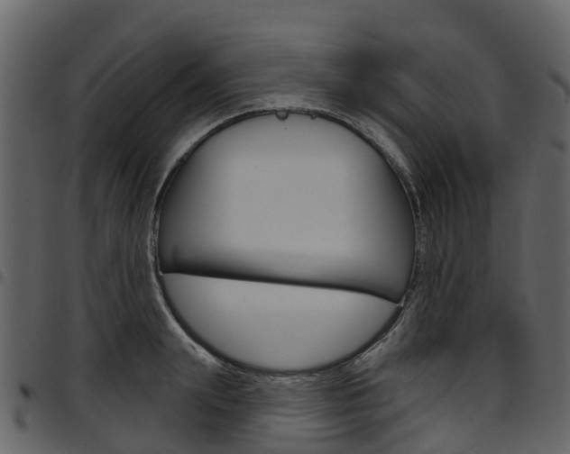 X0000097650847200802290844