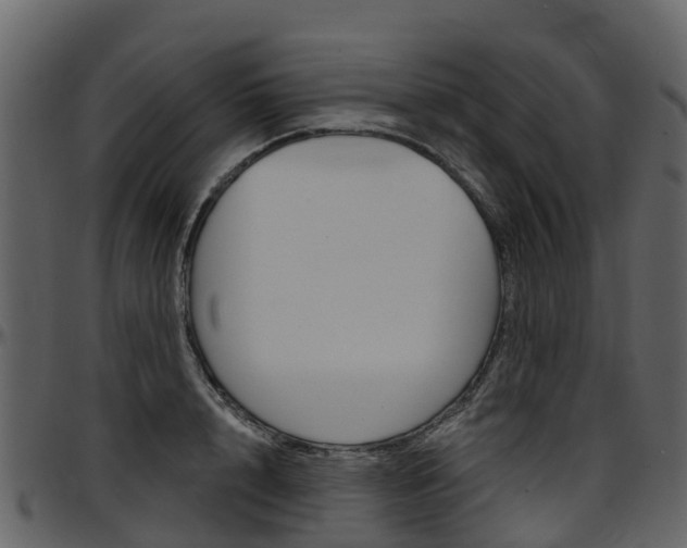 X0000097650848200802290844