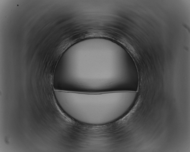 X0000097650849200802290844