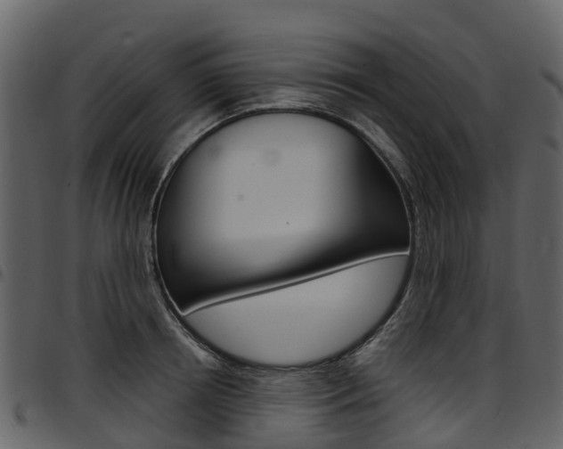 X0000097650850200802290844