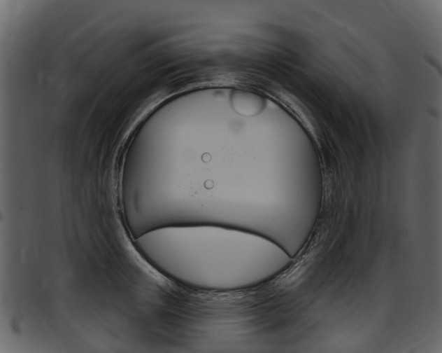 X0000097650851200802290844
