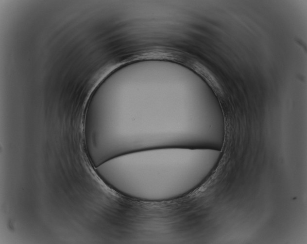 X0000097650852200802290844