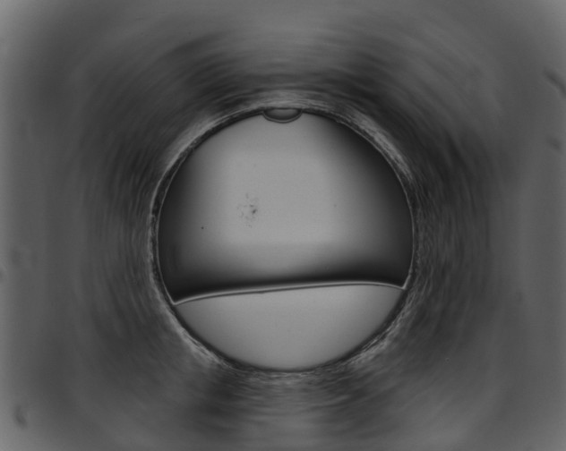 X0000097650853200802290844