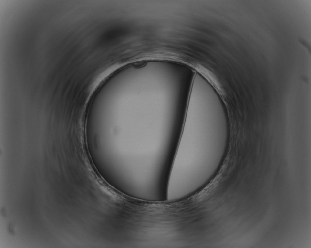 X0000097650854200802290845