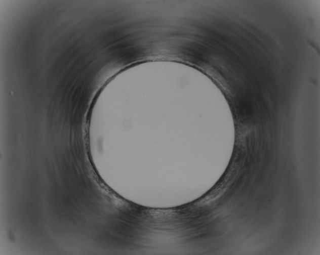 X0000097650856200802290845