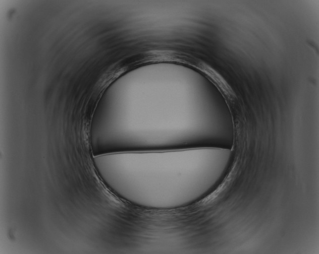 X0000097650857200802290845