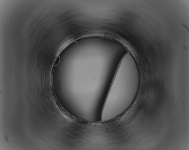 X0000097650858200802290845