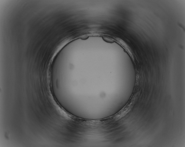 X0000097650859200802290845