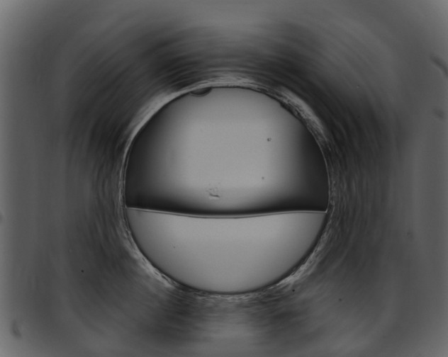 X0000097650860200802290845