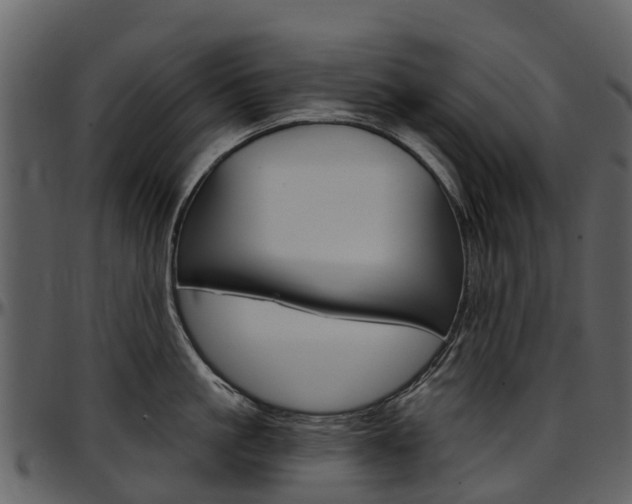 X0000097650861200802290845