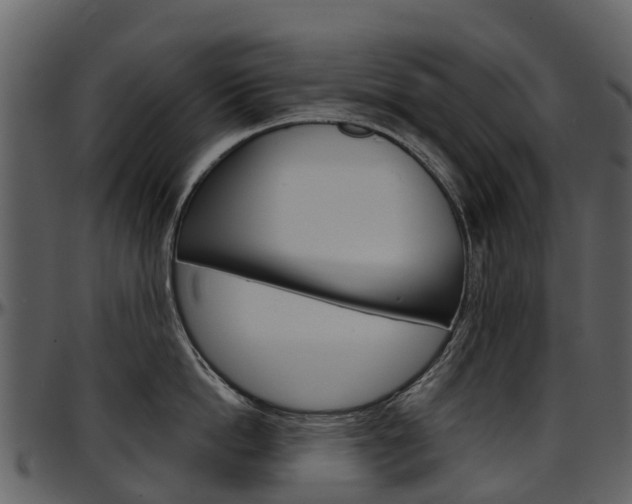 X0000097650862200802290845