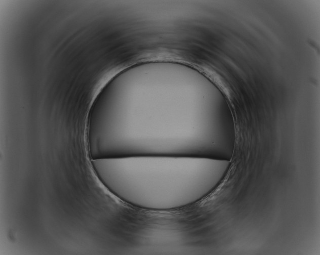 X0000097650863200802290845