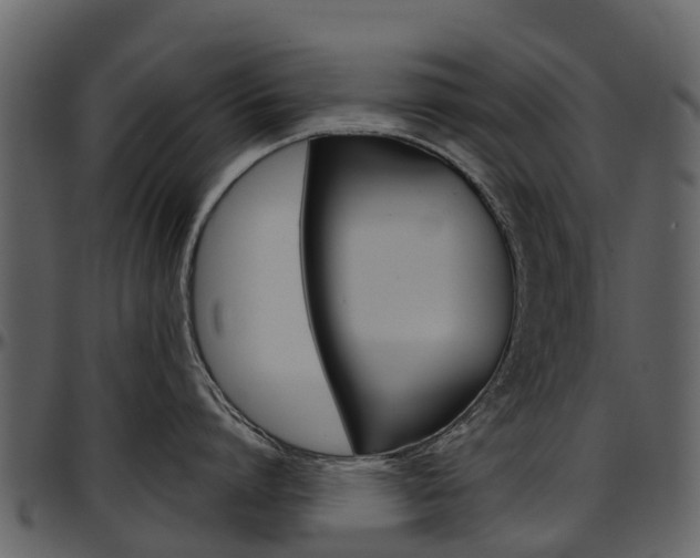 X0000097650864200802290845
