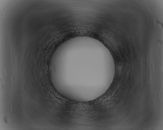 X0000097650865200802290844