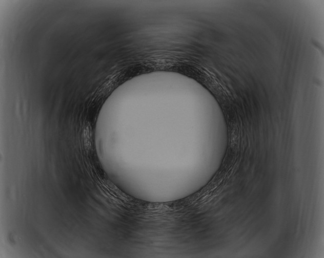 X0000097650866200802290844