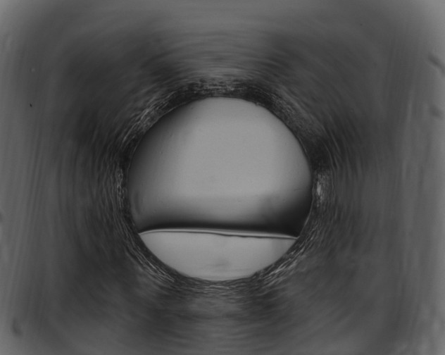 X0000097650867200802290844