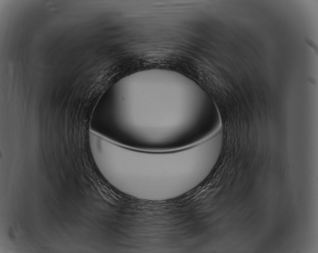 X0000097650868200802290844