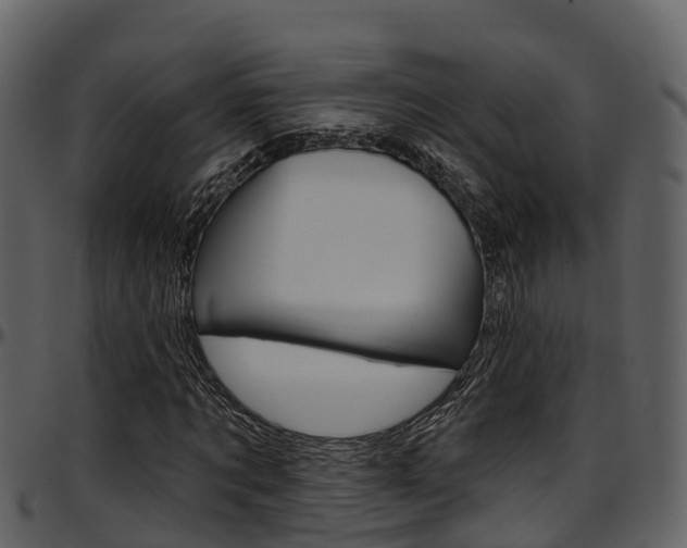 X0000097650869200802290844
