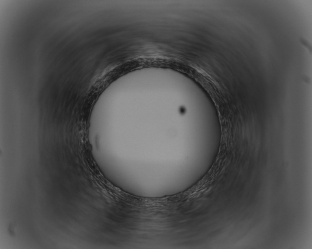 X0000097650870200802290844