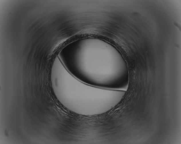 X0000097650872200802290844