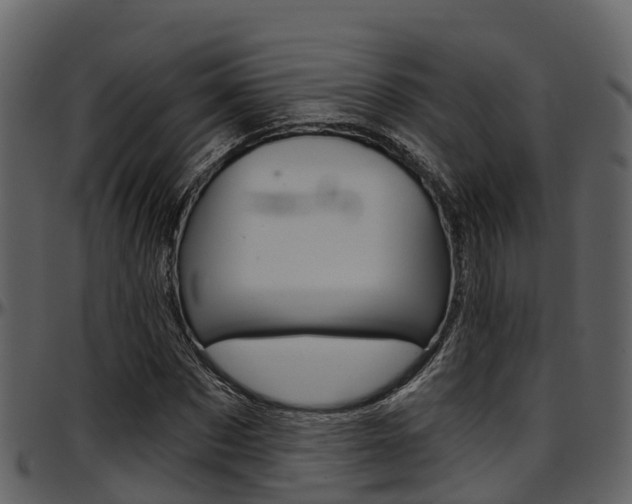 X0000097650873200802290844