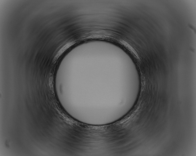 X0000097650874200802290844