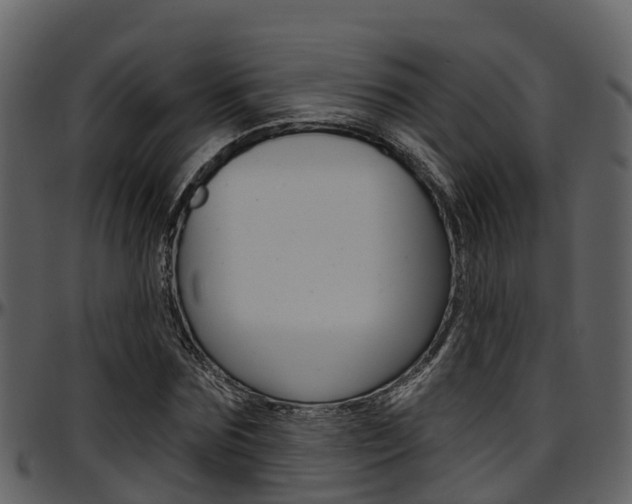 X0000097650875200802290844