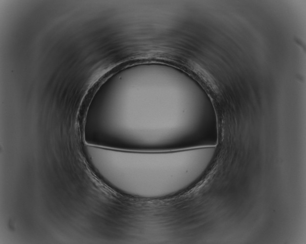 X0000097650876200802290844